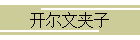 开尔文夹子