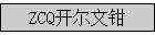 ZCQ������ǯ