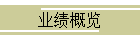 业绩概览
