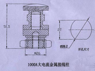 1000A大电流金属接线柱CAD图